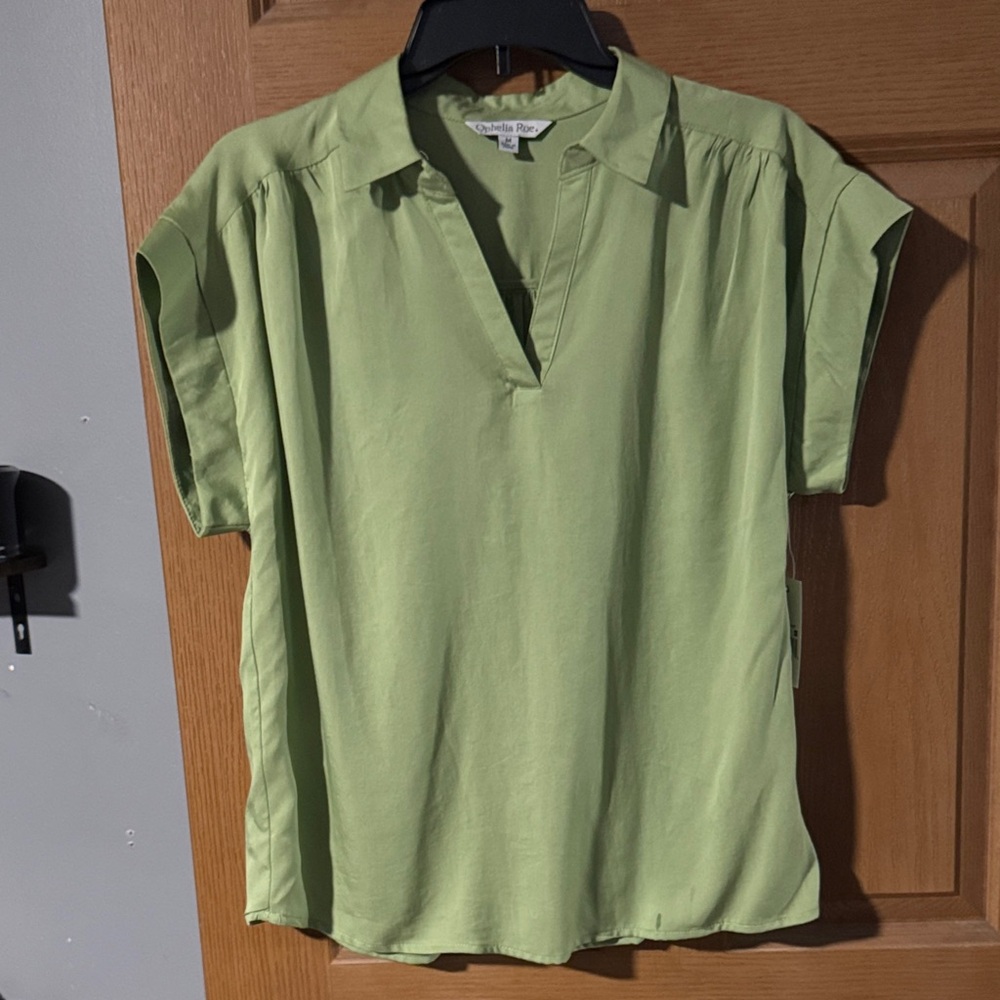 NWT Relaxed V-Neck Short Sleeve Ophelia Roe Blouse in Light Green